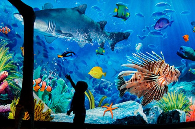 Sea Life Bangkok Ocean World Tickets - Madame Tussauds adds a second indoor stop