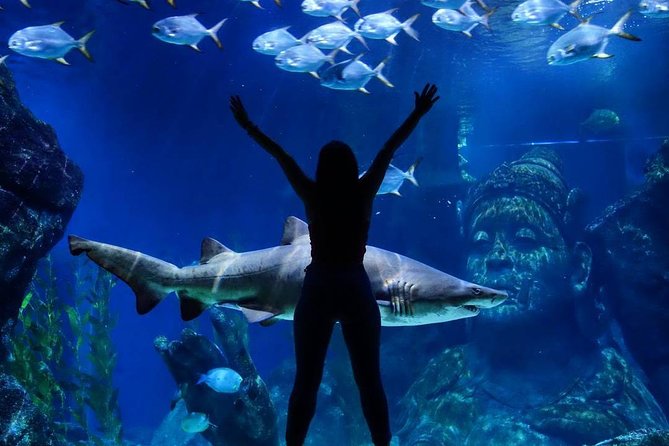 Sea Life Bangkok Ocean World Tickets - Who will enjoy this aquarium most