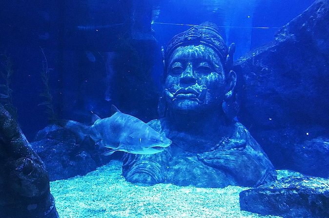 Sea Life Bangkok Ocean World Tickets - Small details that can improve the visit