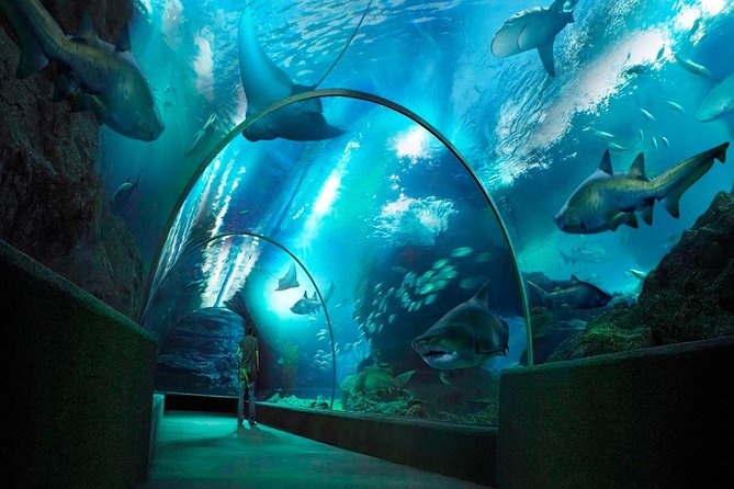 Sea Life Bangkok Ocean World Tickets - The seven zones give the visit a useful rhythm