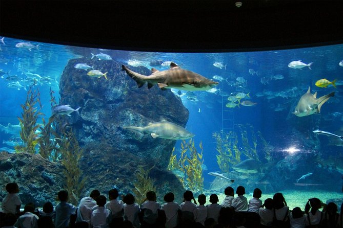 SEA LIFE & Madame Tussauds: Ultimate Bangkok Combo Ticket - Madame Tussauds Bangkok: photo opportunities over quiet museum time