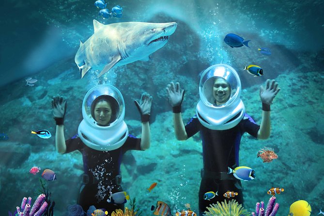 SEA LIFE & Madame Tussauds: Ultimate Bangkok Combo Ticket - What the $55.12 price really buys you