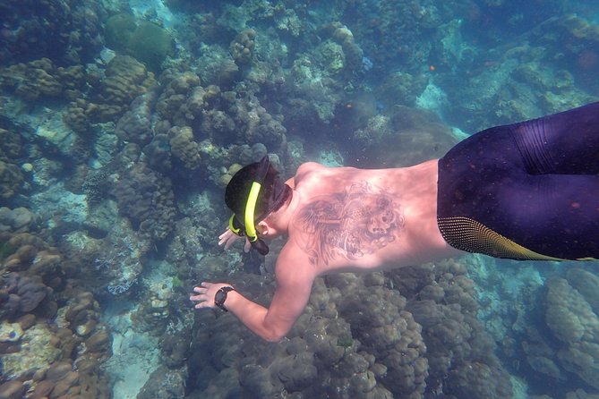 Snorkel Adventure Sea Tour to Koh Rok and Koh Haa from Koh Lanta - How the organization affects your day
