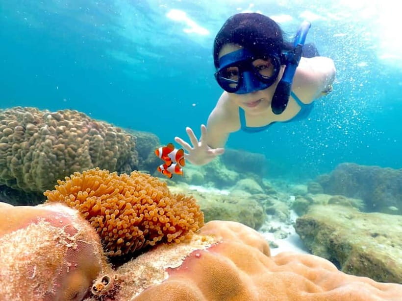 Snorkel & Chill: Nemo Island Trip from Pattaya - Key points to know before booking