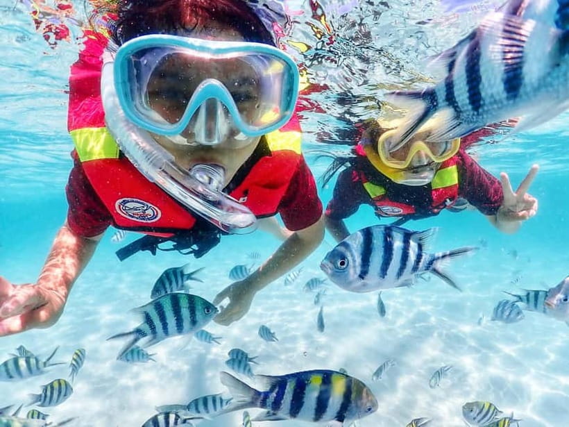 Snorkel & Chill: Nemo Island Trip from Pattaya - Who should book, and who should skip it