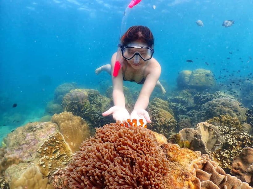 Snorkel & Chill: Nemo Island Trip from Pattaya - Booking details worth knowing