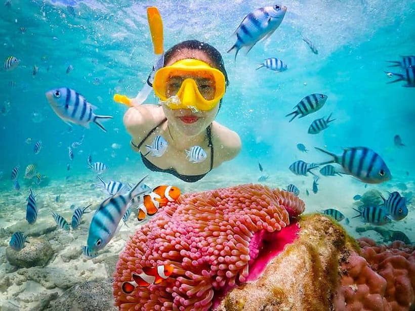 Snorkel & Chill: Nemo Island Trip from Pattaya - What the snorkeling is really like
