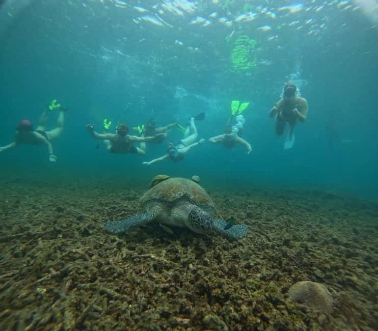 Snorkeling Tour with meals and BBQs - Cocktail - Sunset⭐⭐⭐⭐⭐ - Four snorkel stops around Koh Tao