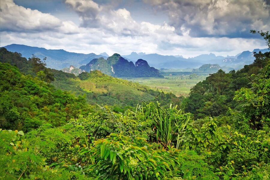 Sok River: Bamboo Raft Ride, Monkey Temple & View Point Tour - Practical advice before you go