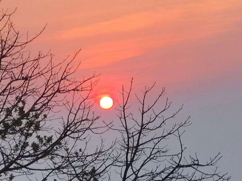 Spiritual Sunrise Wat Doi Suthep, Pha Lat, Alms & Meditation - Doi Suthep: chanting, meditation, and the city below