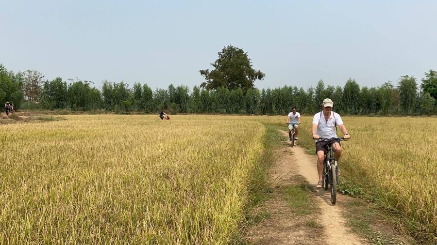 Sukhothai: Half-Day Countryside Bike Tour - Timing, Gear, and Small Practical Details