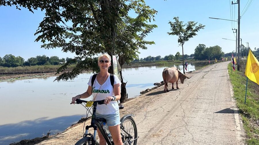 Sukhothai: Half-Day Countryside Bike Tour - Leaving Sukhothai Town for Ban Khuai