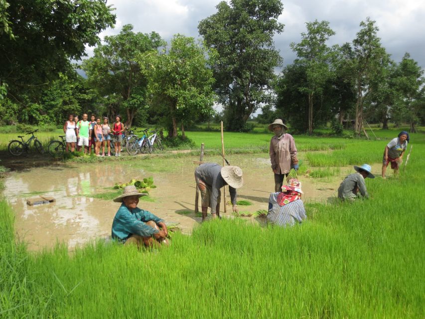 Sukhothai: Half-Day Countryside Bike Tour - Rice Paddies and Ten Kilometers of Dirt Road