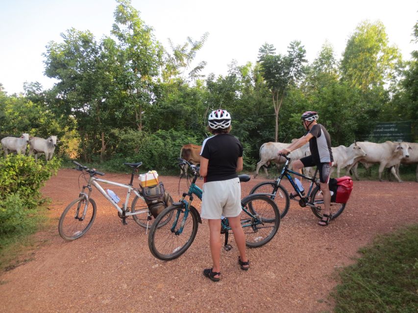 Sukhothai: Historical Park & Countryside Cycling Tour - Key points to know before booking