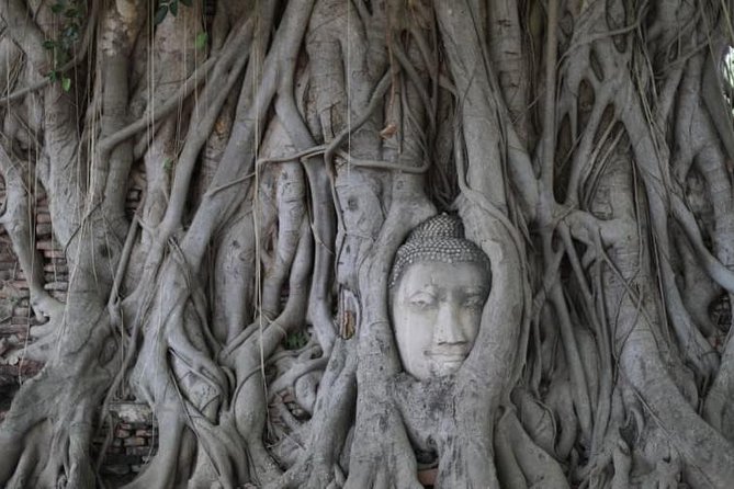 Sunset Sail, Glittering Tempels at Afternoon Ayutthaya Tours - Wat Mahathat and Ayutthaya’s famous Buddha head