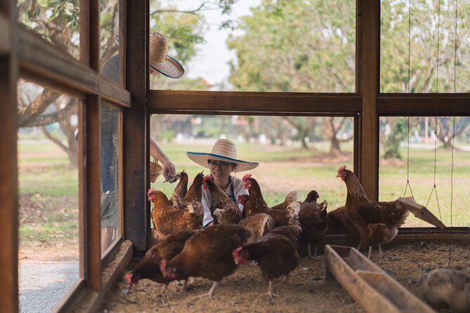 Sunset Thai Cooking with Grandma - Farm & Evening Feast - What the food and drinks add to the value
