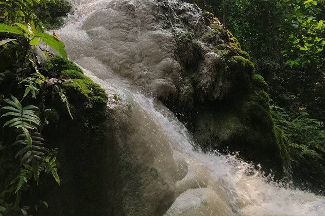 The Best Full Day Tour: Doi Suthep, Wat Phalat, Sticky Waterfall - Is $48.67 good value?