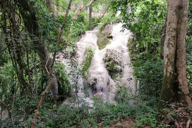The Best Full Day Tour: Doi Suthep, Wat Phalat, Sticky Waterfall - Who should book this Chiang Mai day trip?