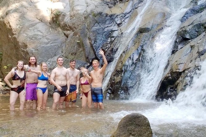 Top Pick - Full or Half Day @Elephant in Wild Sanctuary ChiangMai - The jungle trek and waterfall stop