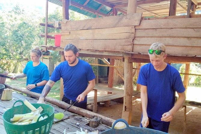 Top Pick - Full or Half Day @Elephant in Wild Sanctuary ChiangMai - What the rafting is really like