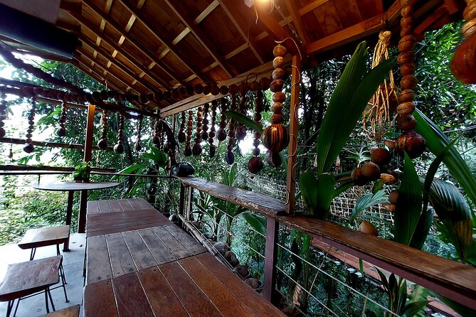 Tree Bridge Cafe And Zipline - Jungle Flight Adventure in Koh Samui - Tan Rua Waterfall and the forest views