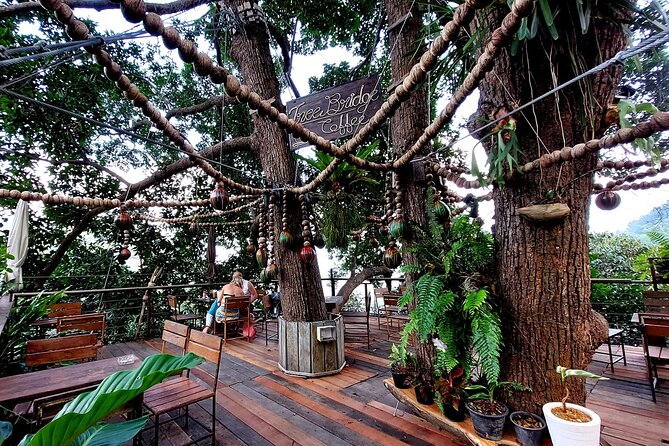 Tree Bridge Cafe And Zipline - Jungle Flight Adventure in Koh Samui - What the zipline course feels like