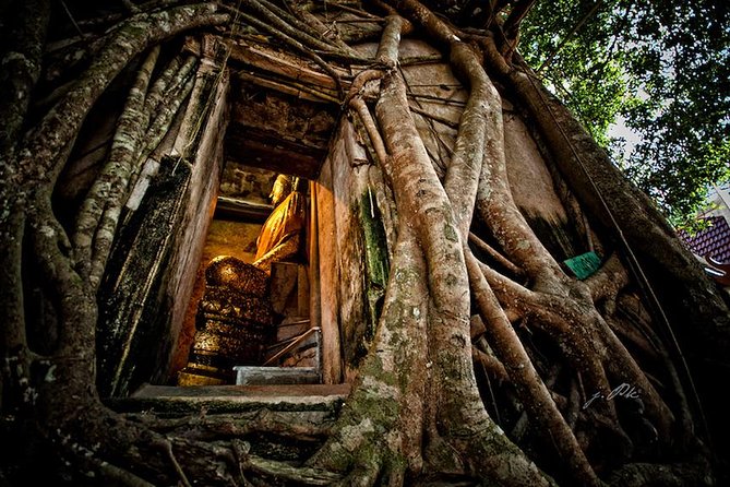 VIP Private Tour Damnoen Saduak+ Amphawa + Mae Klong Railway - Palm sugar, Thai tea, and a slower cultural pause