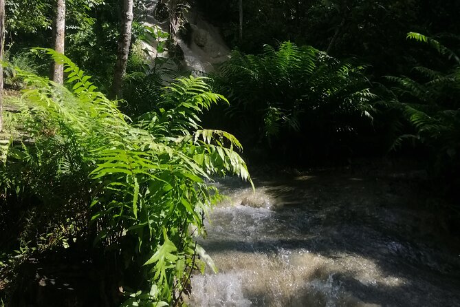 Visit Dantewada(Angel Land), Blue Temple, and Sticky Waterfall - Three very different stops north of Chiang Mai