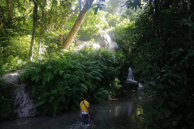 Visit Dantewada(Angel Land), Blue Temple, and Sticky Waterfall - Wat Ban Den: Chiang Mai’s Blue Temple in 30 minutes