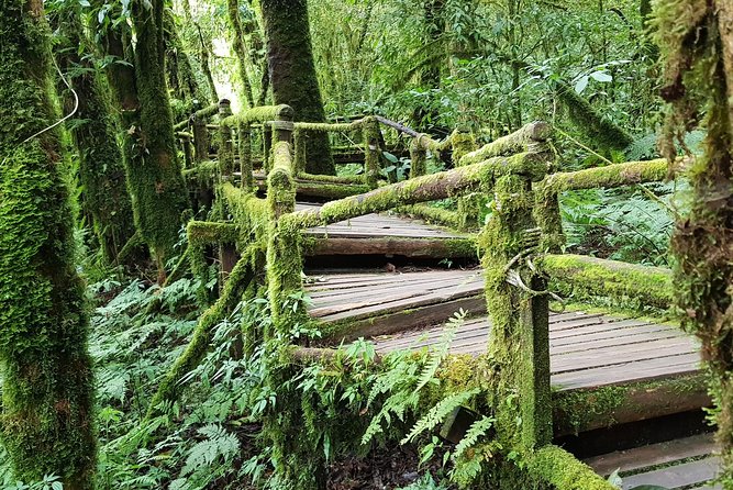 Wow! Doi Inthanon National Park Adventure, Lunch & Entry Included - Pickup from Chiang Mai and the long mountain road