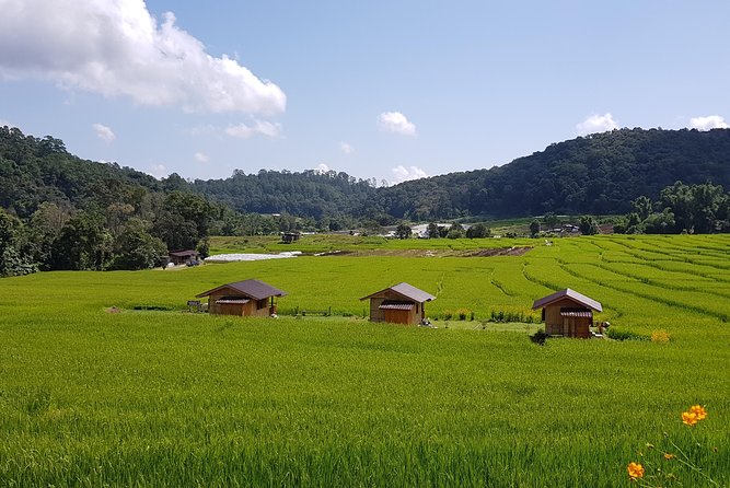 Wow! Doi Inthanon National Park Adventure, Lunch & Entry Included - Lunch with a northern Thai setting
